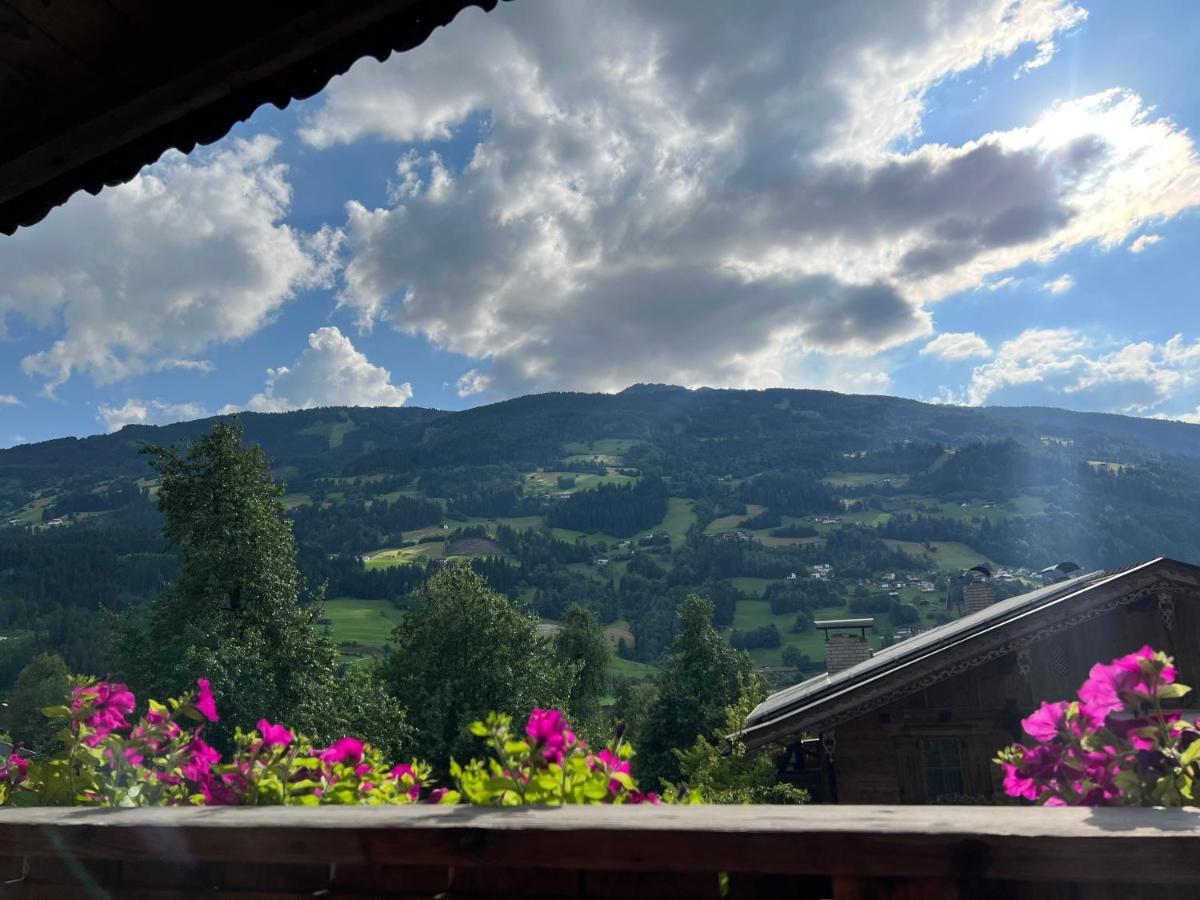 Ferienwohnung Gamsbock Panorama View Balkon, Gartensauna, Garten, Grillplatz Stumm Luaran gambar